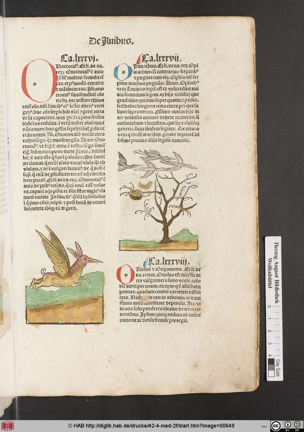 http://diglib.hab.de/drucke/42-4-med-2f/00649.jpg