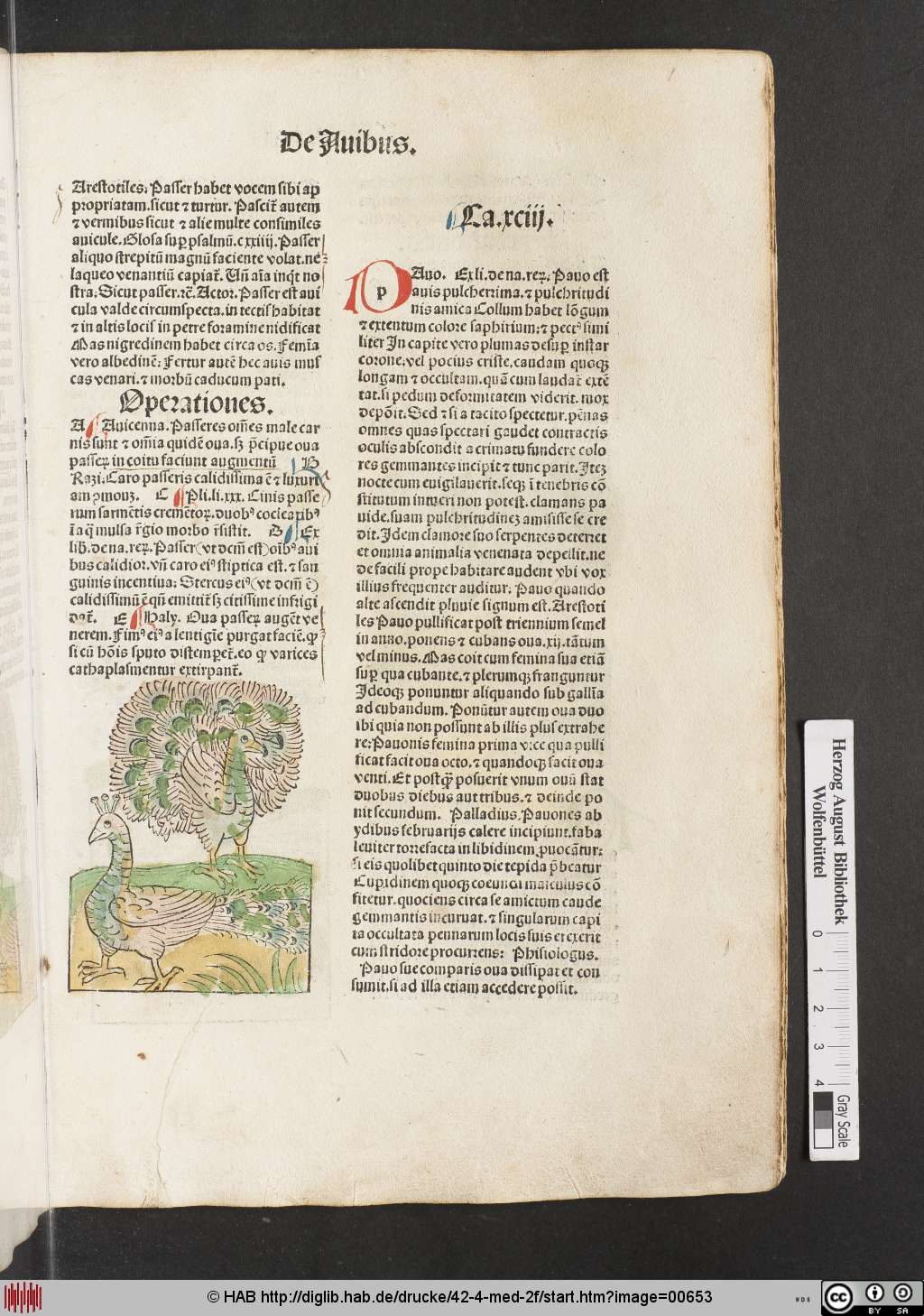 http://diglib.hab.de/drucke/42-4-med-2f/00653.jpg