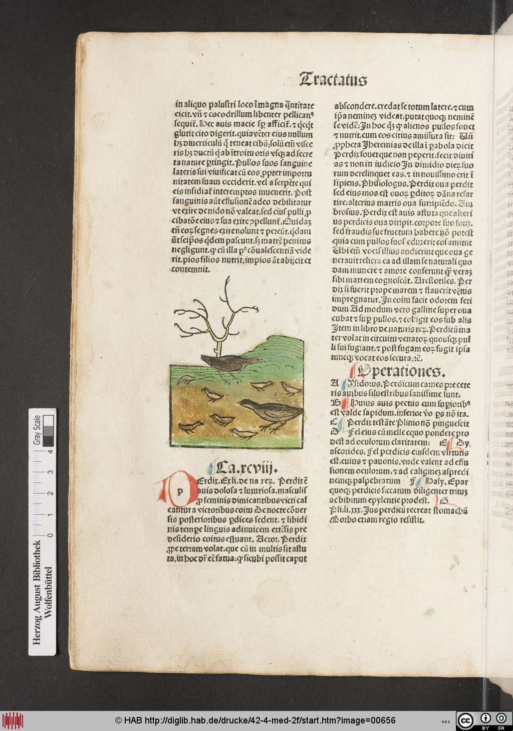 http://diglib.hab.de/drucke/42-4-med-2f/00656.jpg