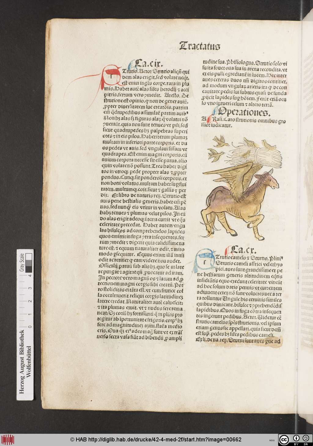 http://diglib.hab.de/drucke/42-4-med-2f/00662.jpg