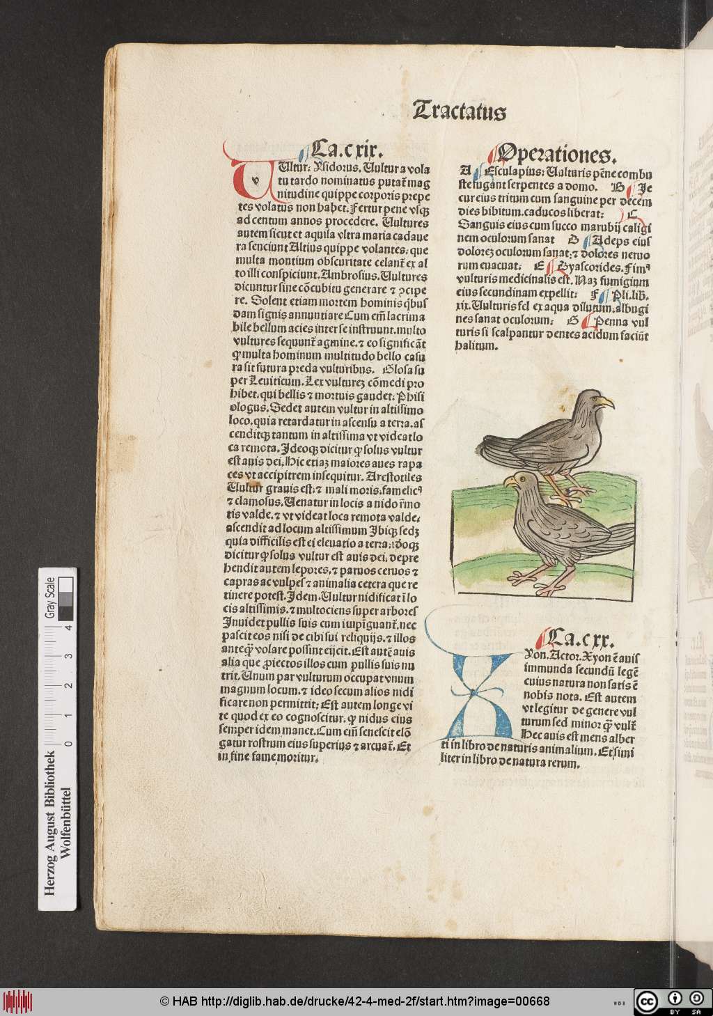 http://diglib.hab.de/drucke/42-4-med-2f/00668.jpg