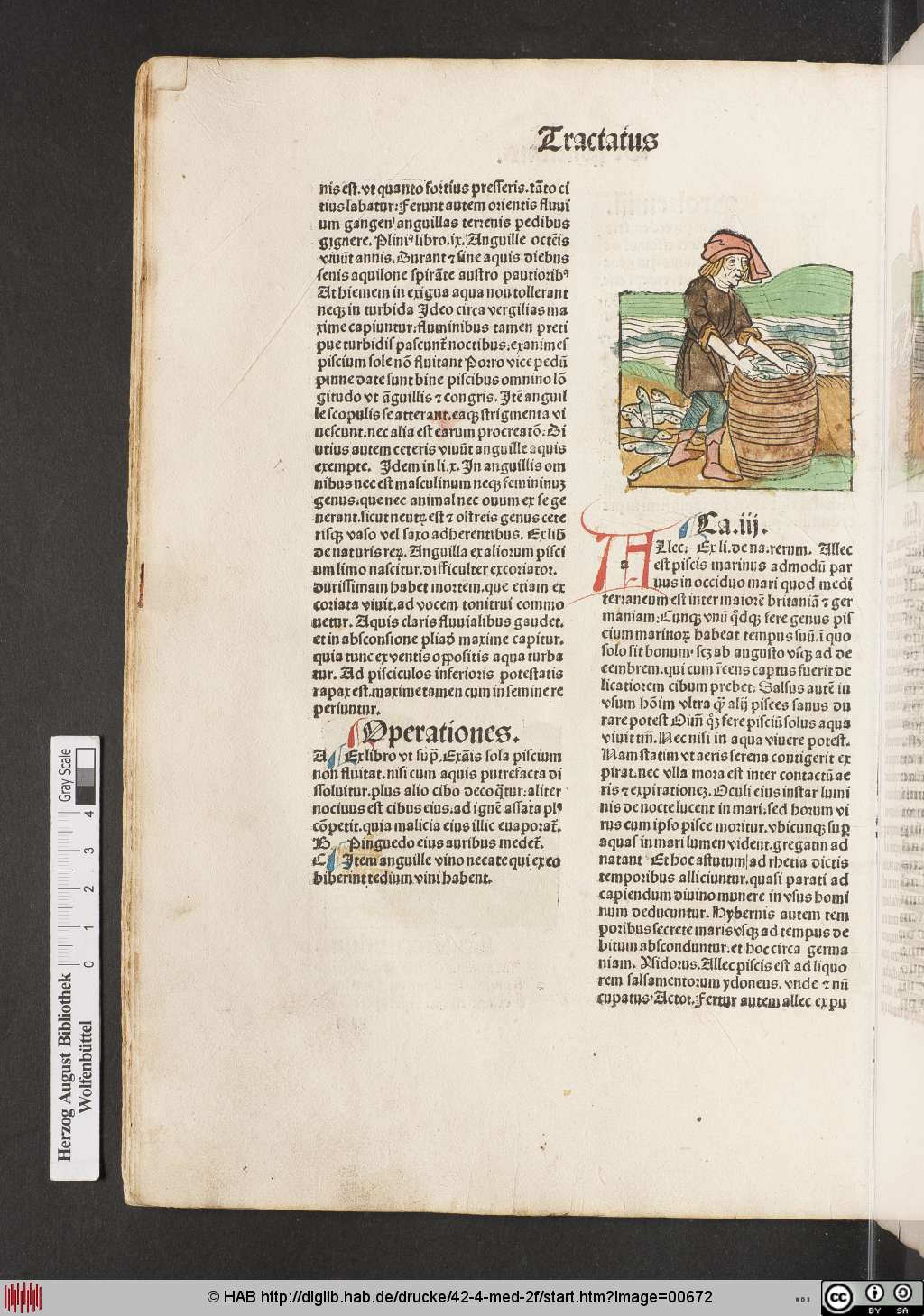 http://diglib.hab.de/drucke/42-4-med-2f/00672.jpg