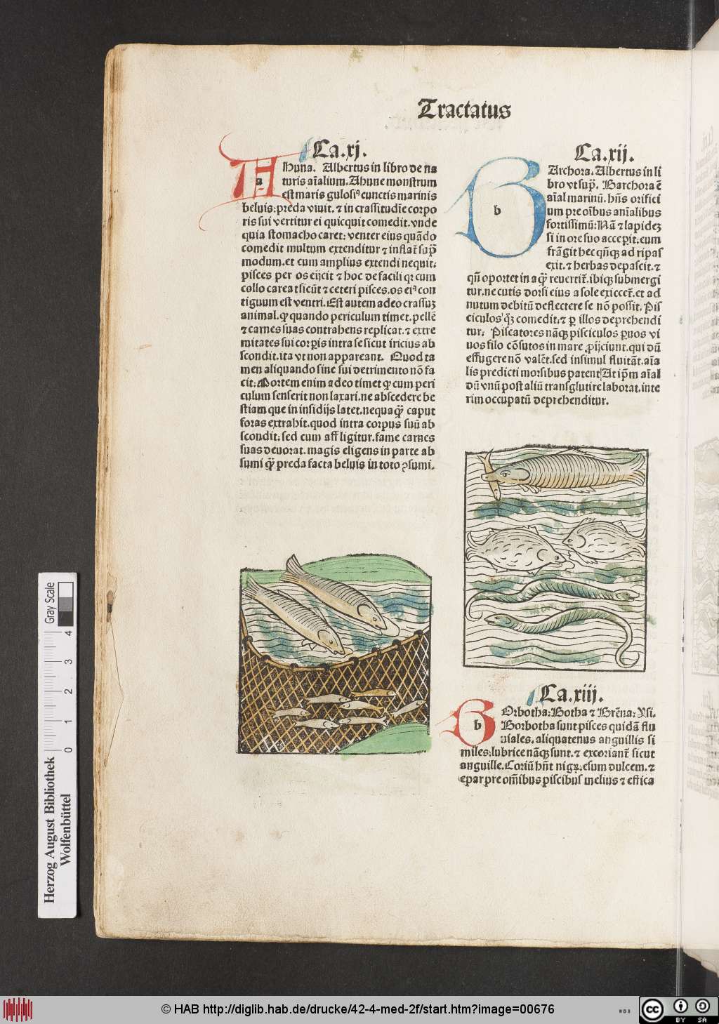 http://diglib.hab.de/drucke/42-4-med-2f/00676.jpg