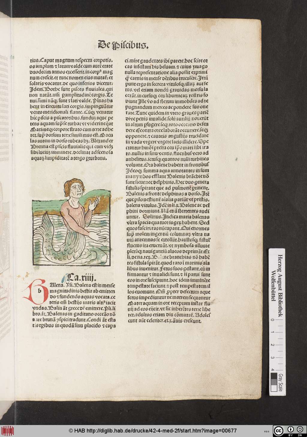 http://diglib.hab.de/drucke/42-4-med-2f/00677.jpg