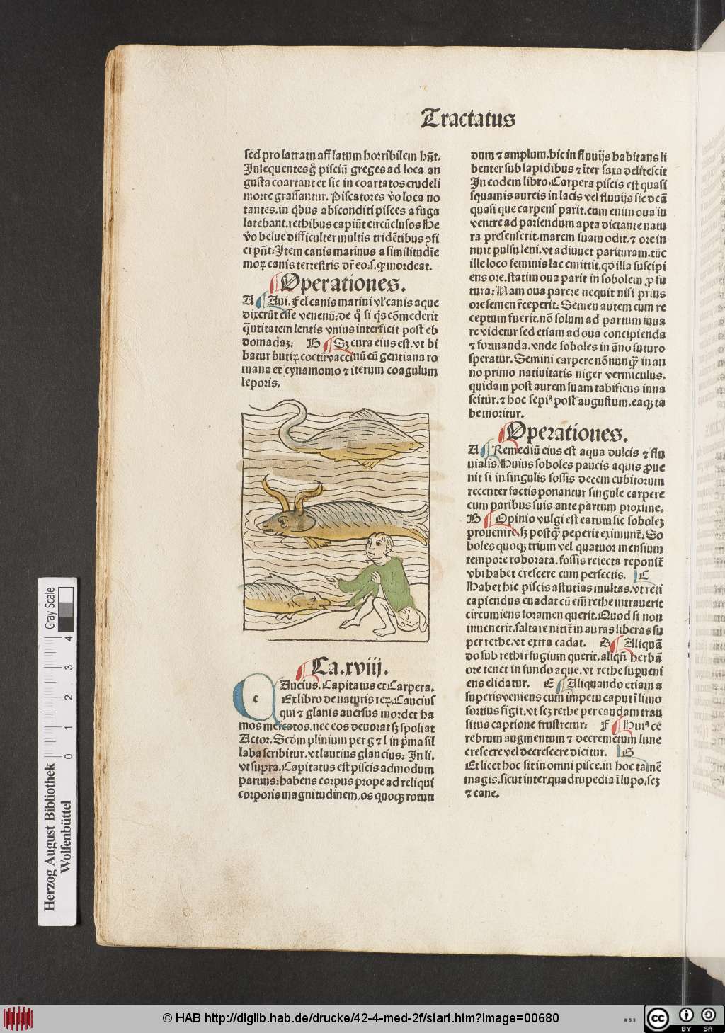 http://diglib.hab.de/drucke/42-4-med-2f/00680.jpg