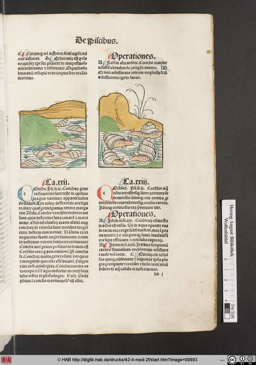 http://diglib.hab.de/drucke/42-4-med-2f/00683.jpg