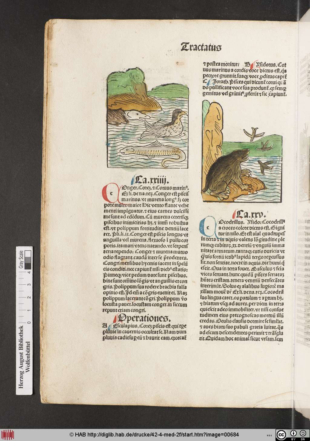 http://diglib.hab.de/drucke/42-4-med-2f/00684.jpg