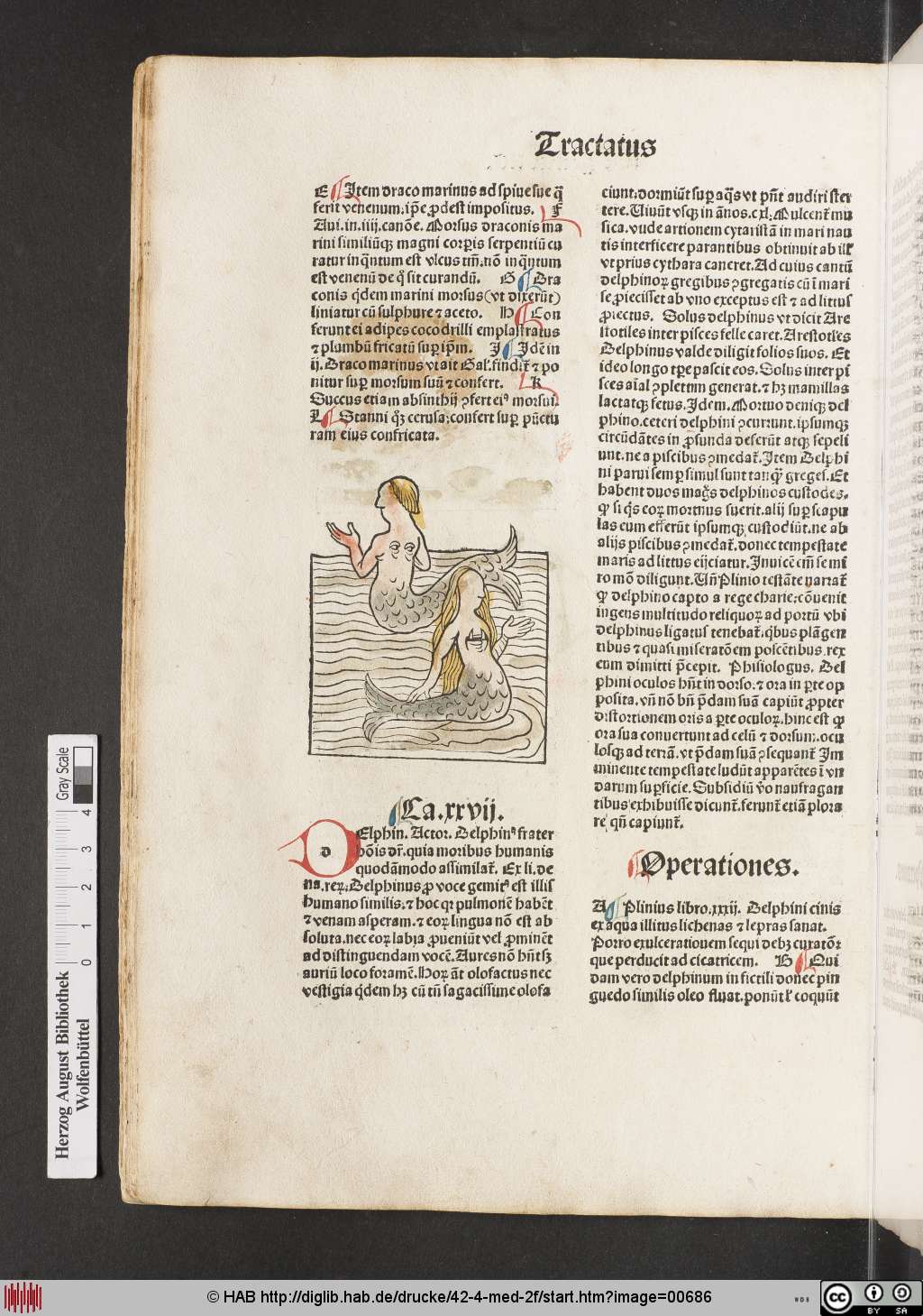 http://diglib.hab.de/drucke/42-4-med-2f/00686.jpg