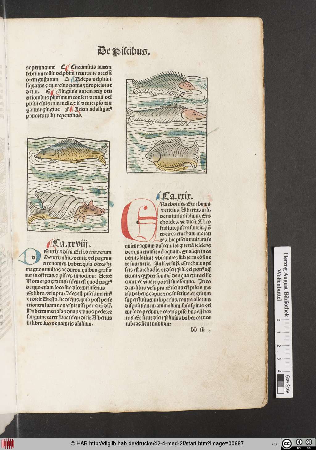 http://diglib.hab.de/drucke/42-4-med-2f/00687.jpg