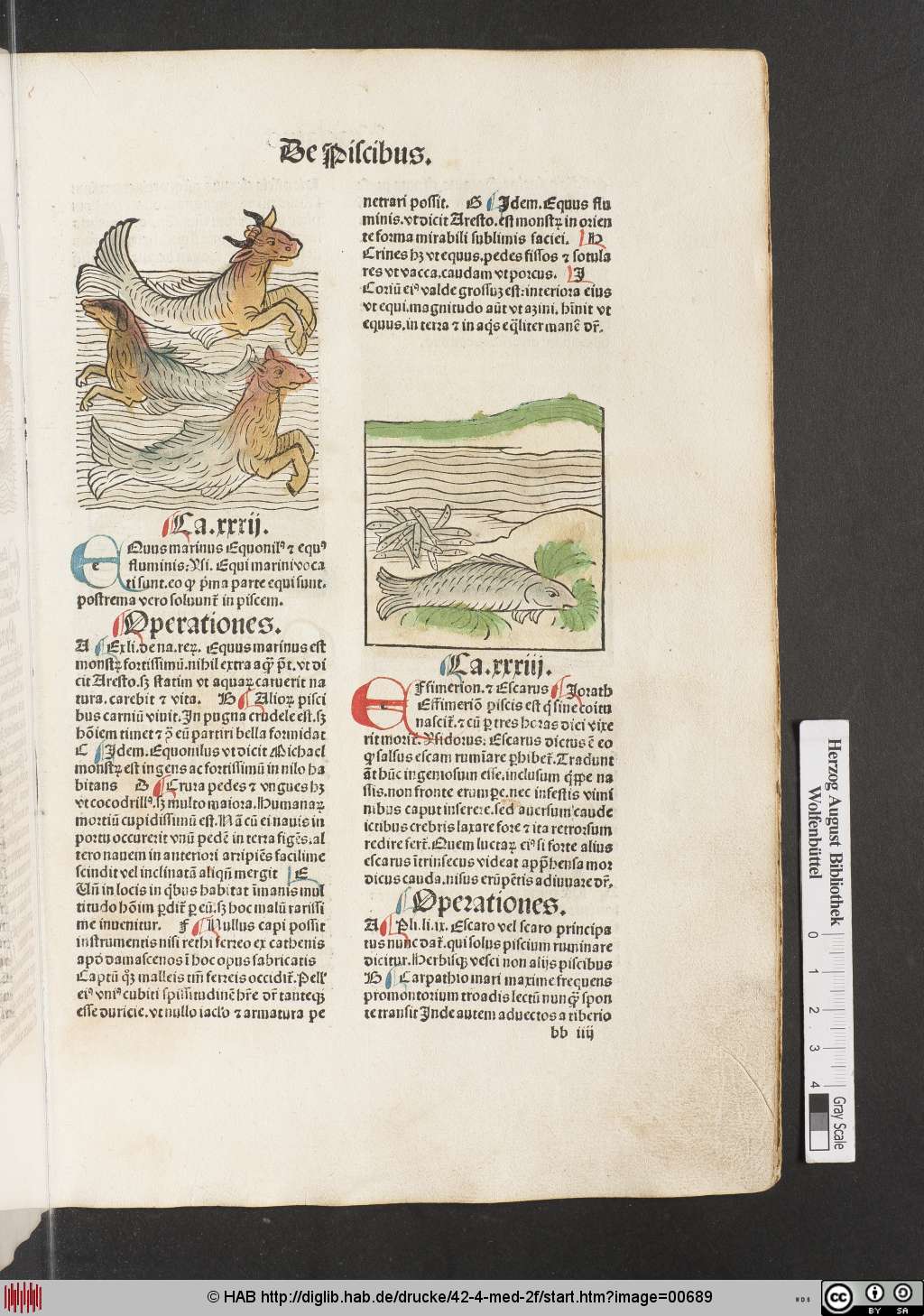 http://diglib.hab.de/drucke/42-4-med-2f/00689.jpg