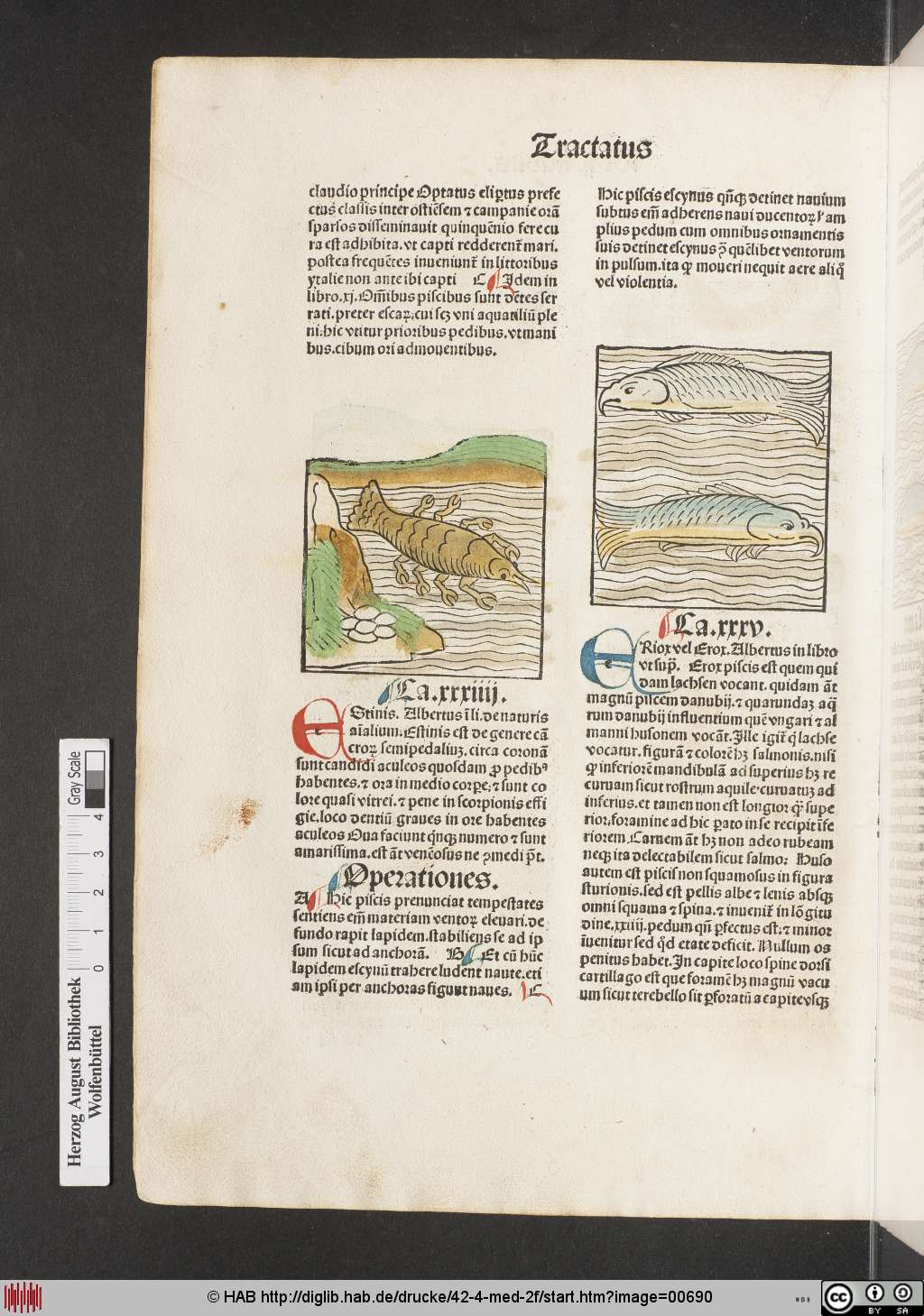 http://diglib.hab.de/drucke/42-4-med-2f/00690.jpg