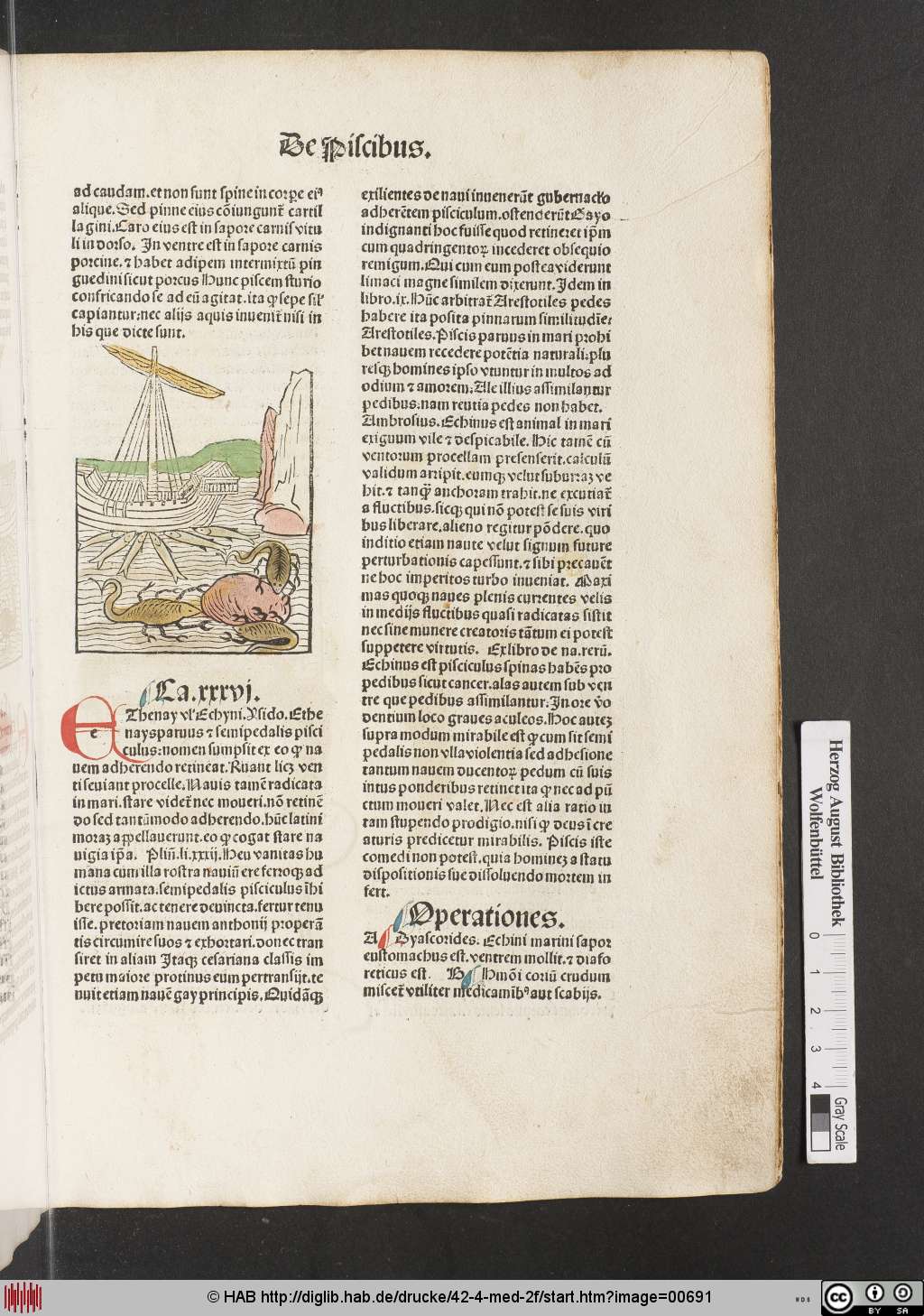 http://diglib.hab.de/drucke/42-4-med-2f/00691.jpg