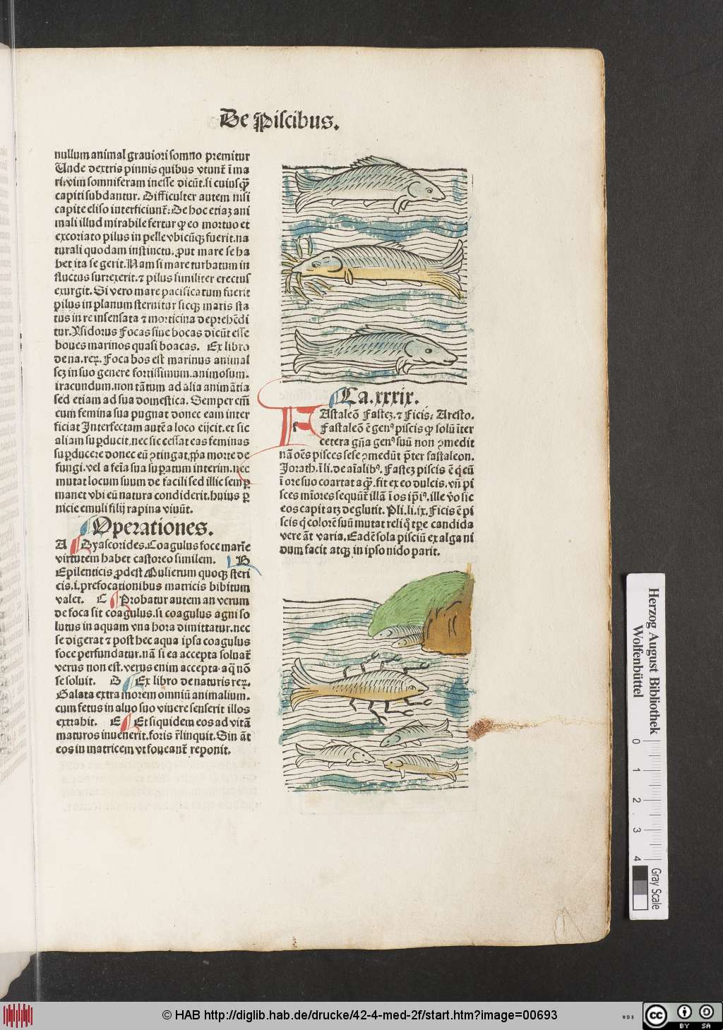 http://diglib.hab.de/drucke/42-4-med-2f/00693.jpg