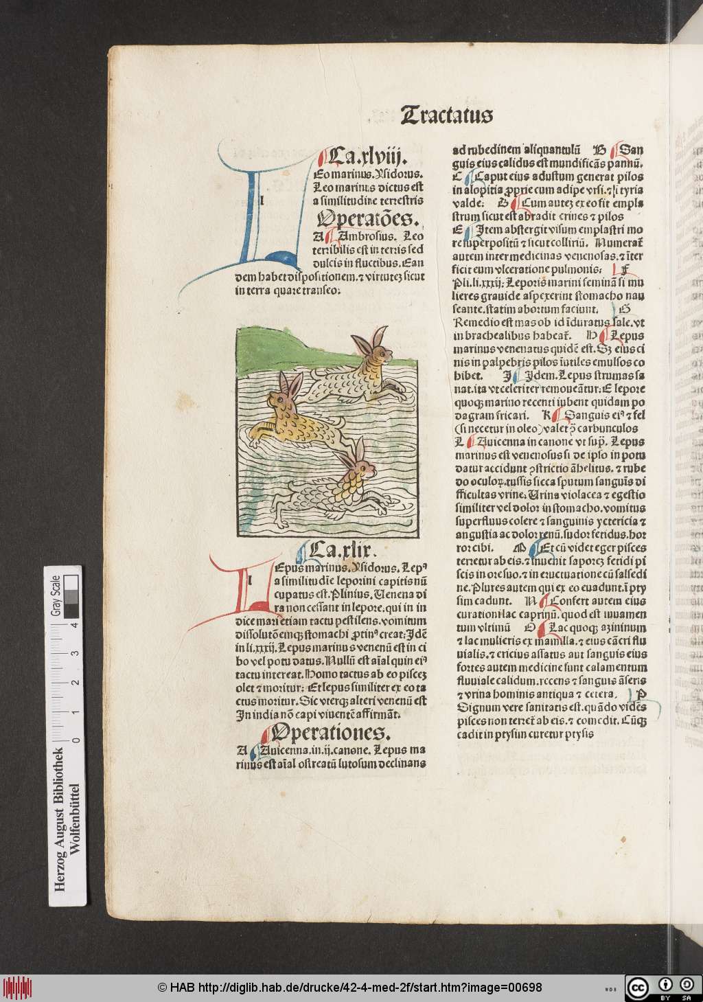 http://diglib.hab.de/drucke/42-4-med-2f/00698.jpg