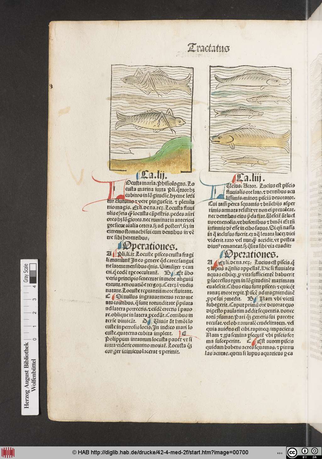 http://diglib.hab.de/drucke/42-4-med-2f/00700.jpg