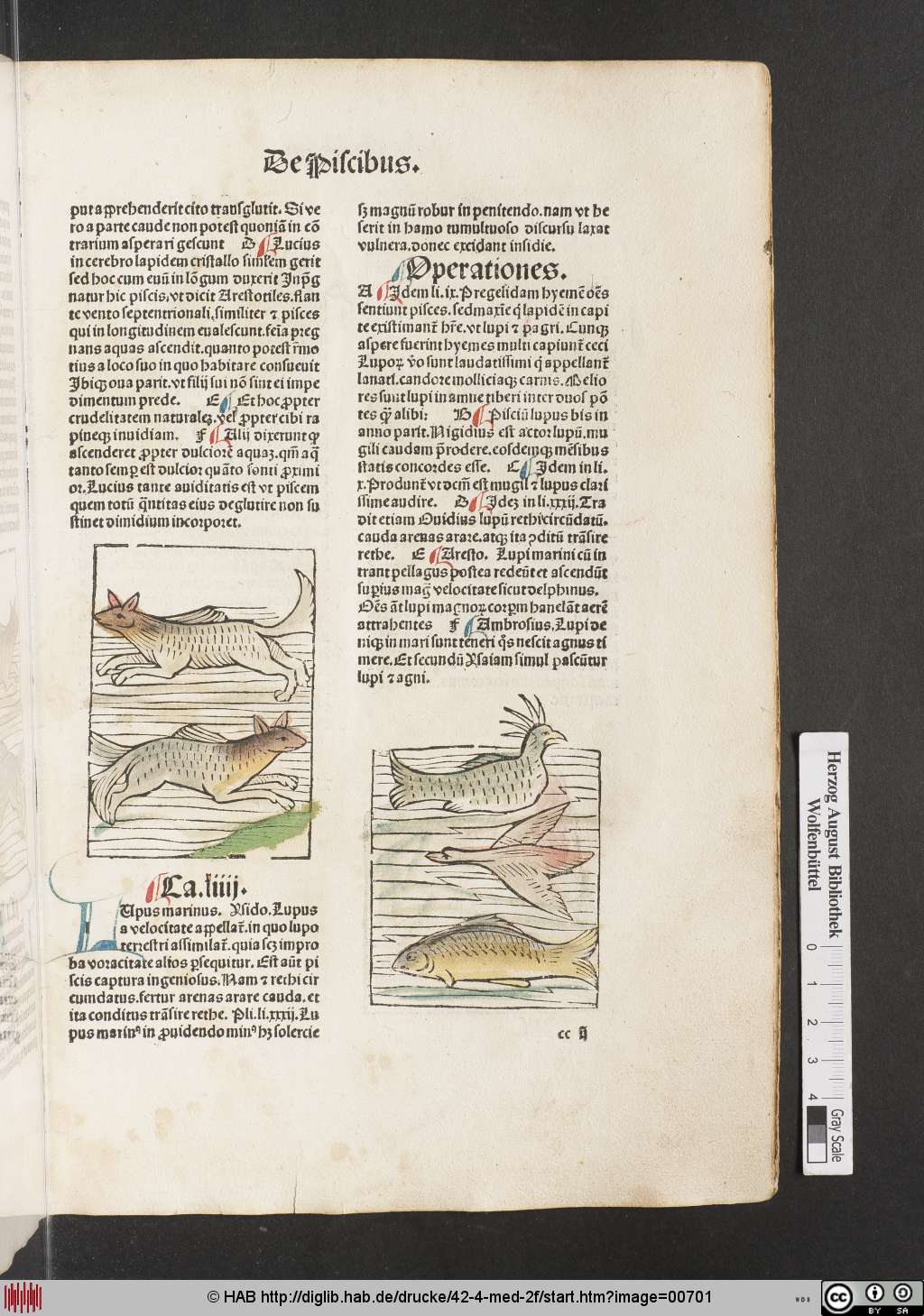 http://diglib.hab.de/drucke/42-4-med-2f/00701.jpg