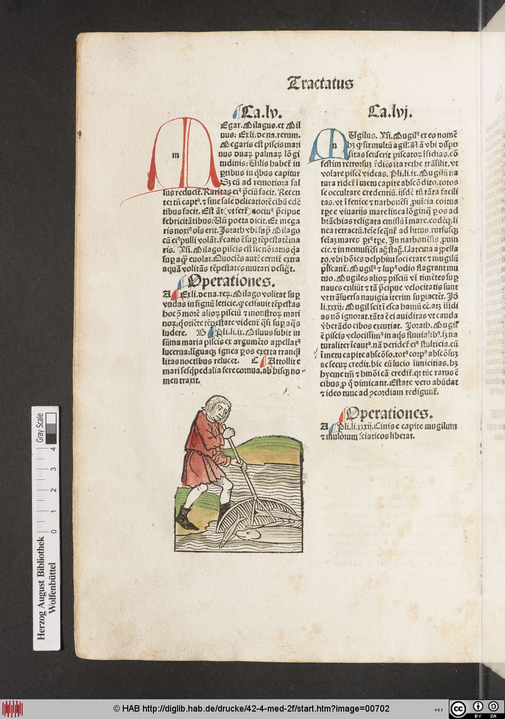 http://diglib.hab.de/drucke/42-4-med-2f/00702.jpg