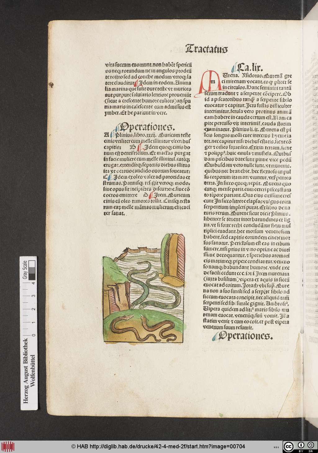 http://diglib.hab.de/drucke/42-4-med-2f/00704.jpg