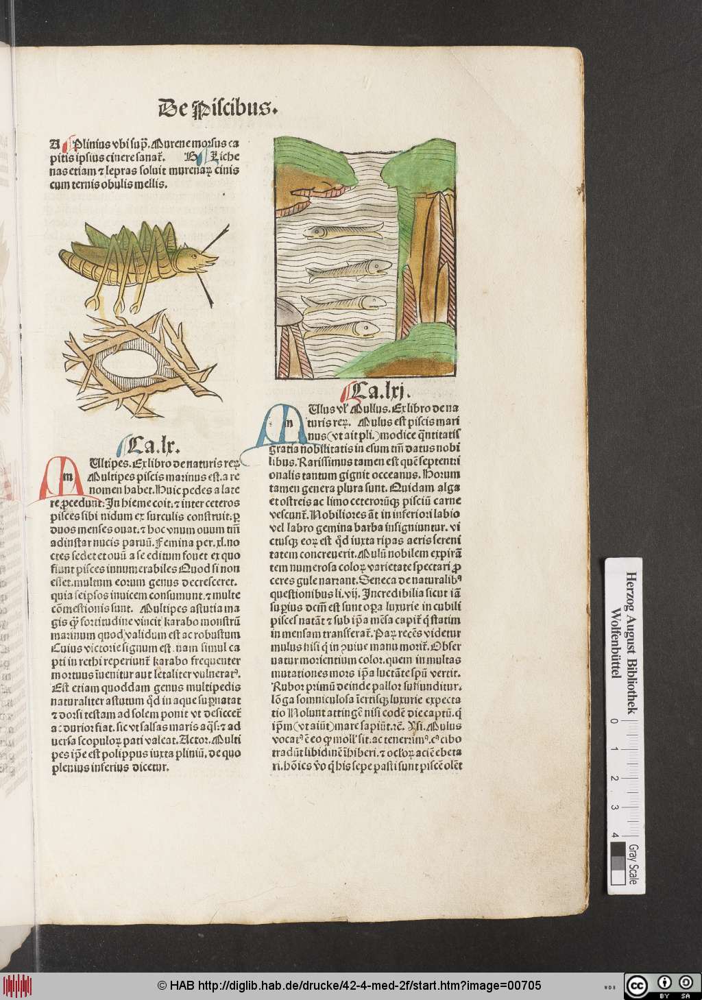 http://diglib.hab.de/drucke/42-4-med-2f/00705.jpg