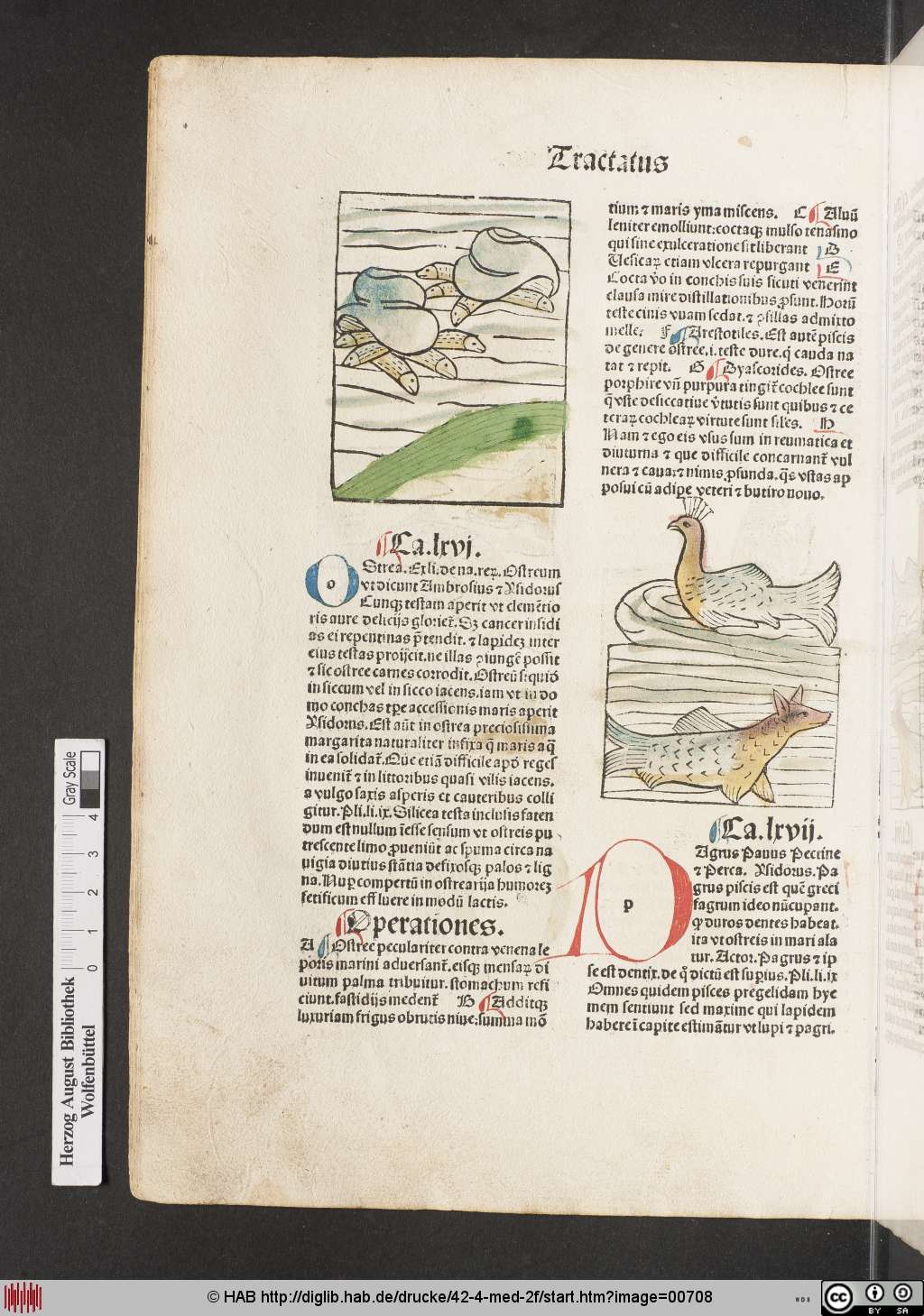 http://diglib.hab.de/drucke/42-4-med-2f/00708.jpg