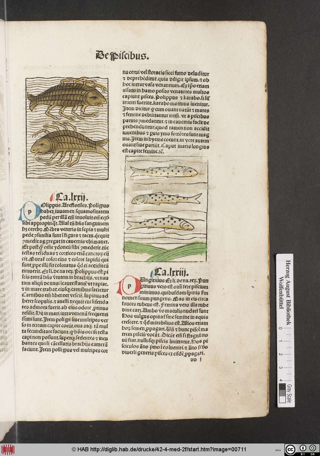 http://diglib.hab.de/drucke/42-4-med-2f/00711.jpg