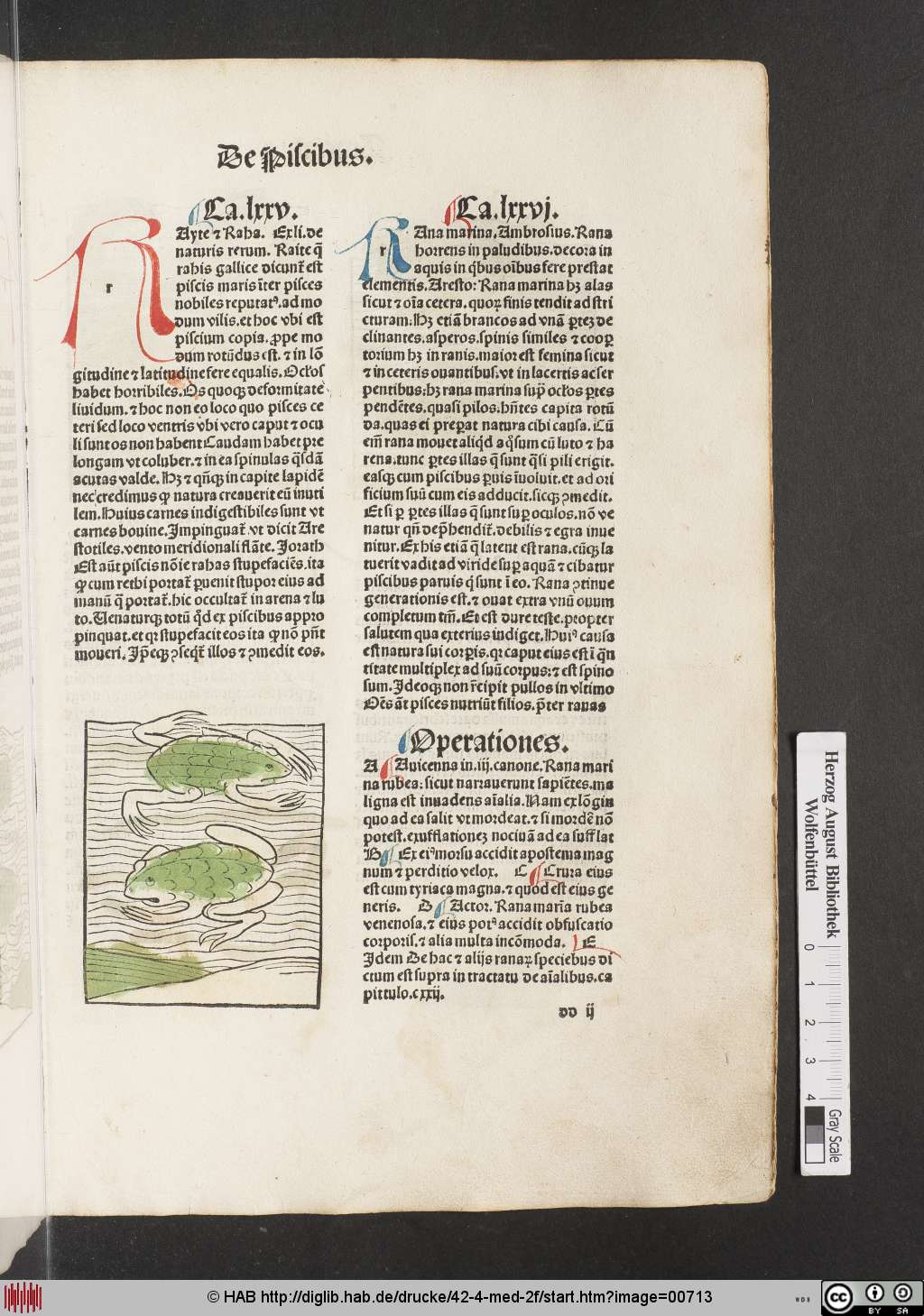 http://diglib.hab.de/drucke/42-4-med-2f/00713.jpg