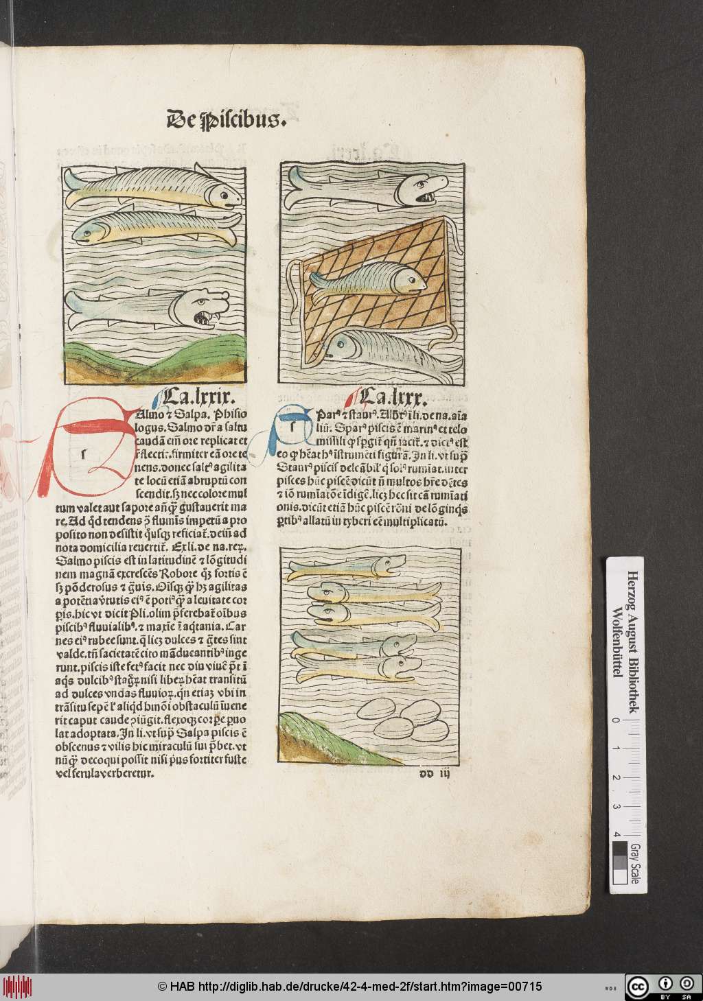 http://diglib.hab.de/drucke/42-4-med-2f/00715.jpg