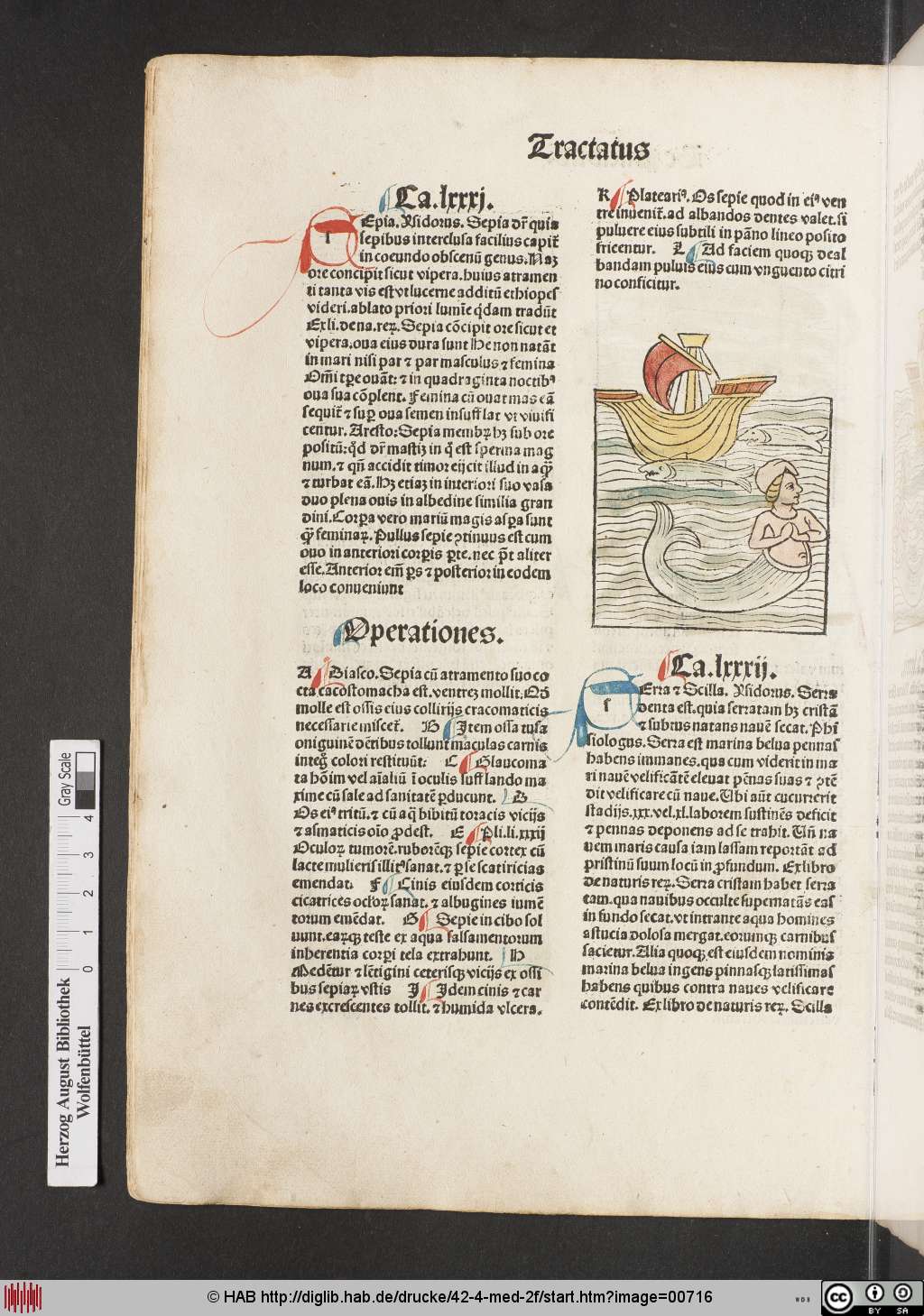 http://diglib.hab.de/drucke/42-4-med-2f/00716.jpg