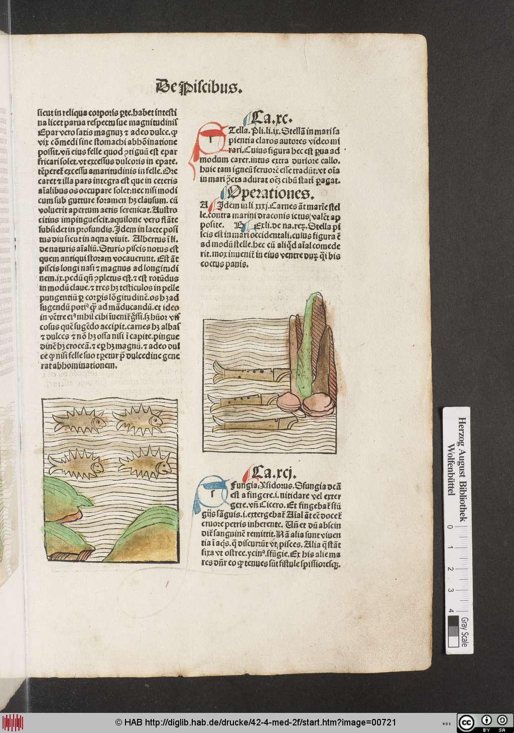 http://diglib.hab.de/drucke/42-4-med-2f/00721.jpg