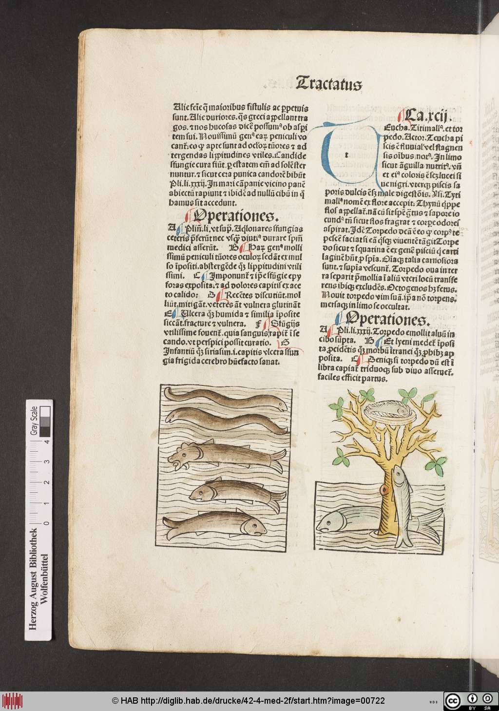 http://diglib.hab.de/drucke/42-4-med-2f/00722.jpg