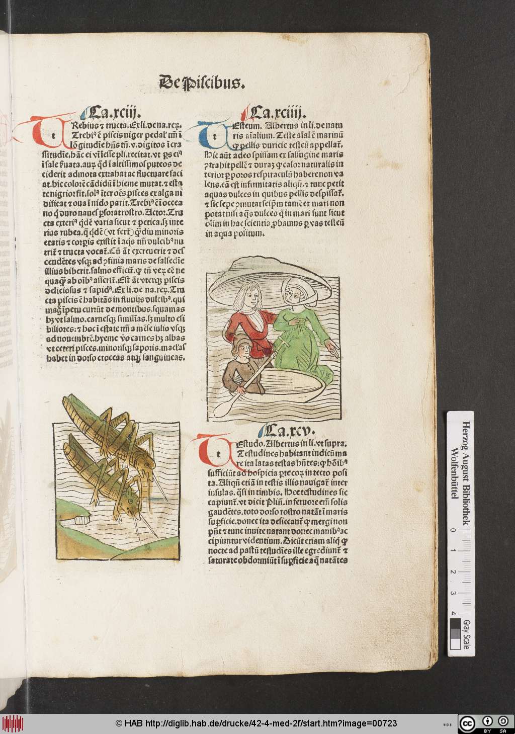 http://diglib.hab.de/drucke/42-4-med-2f/00723.jpg