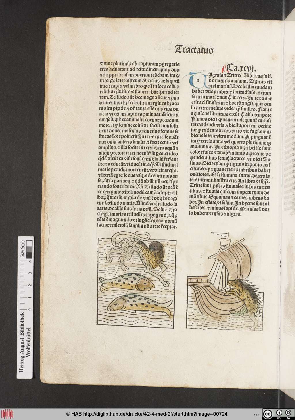 http://diglib.hab.de/drucke/42-4-med-2f/00724.jpg