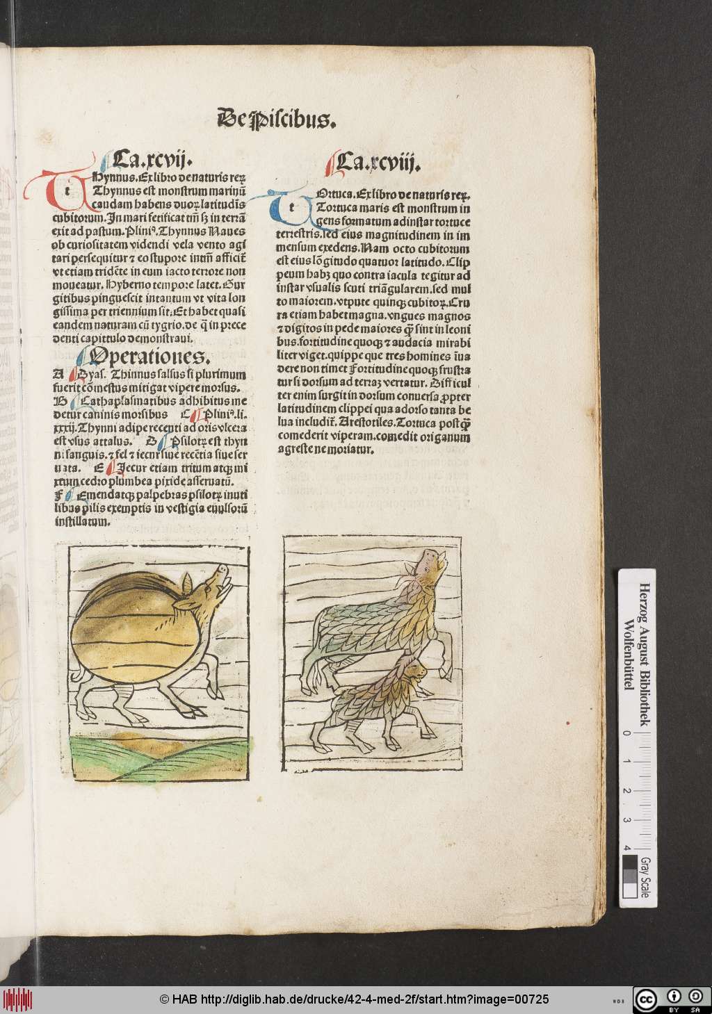 http://diglib.hab.de/drucke/42-4-med-2f/00725.jpg