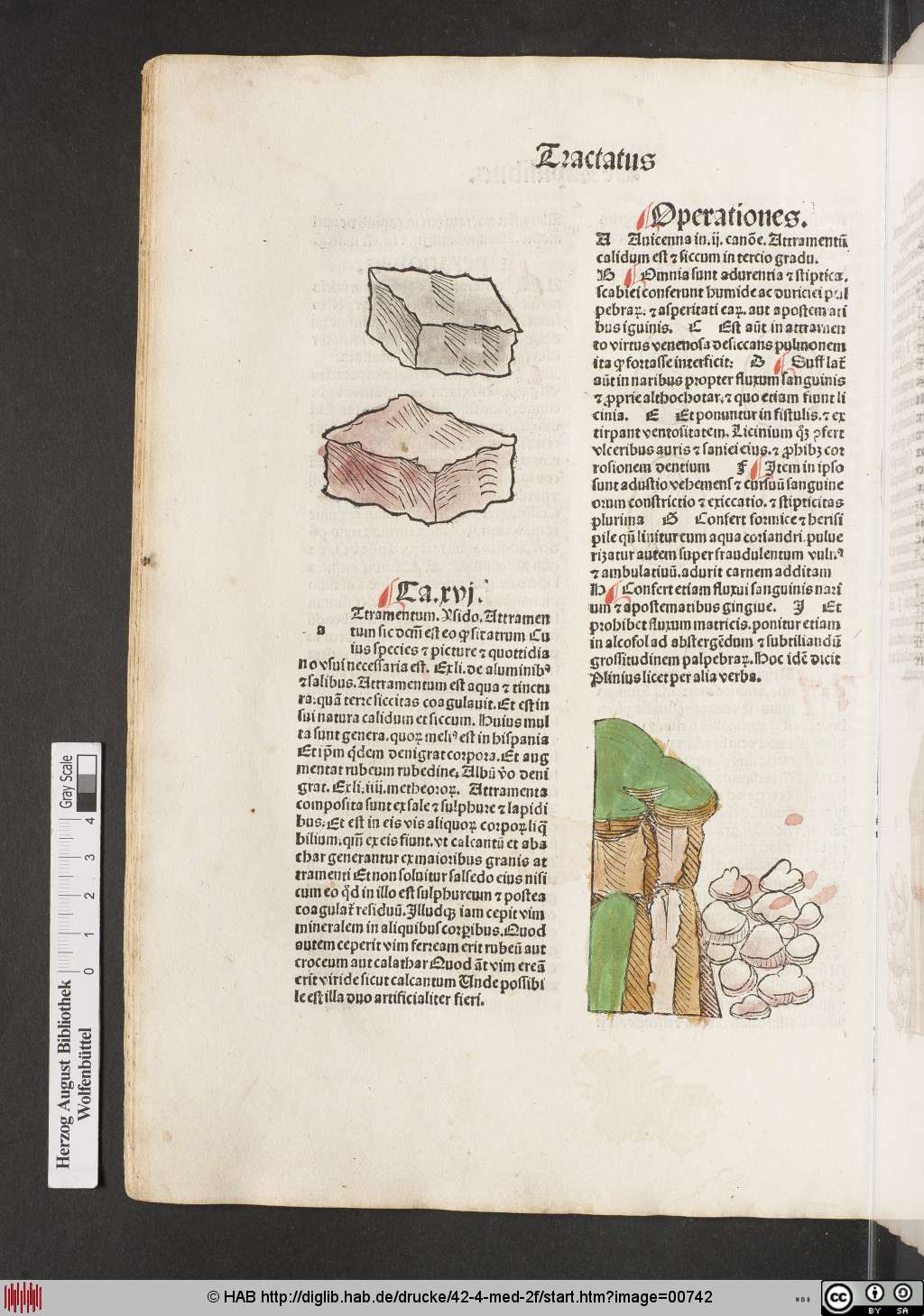 http://diglib.hab.de/drucke/42-4-med-2f/00742.jpg