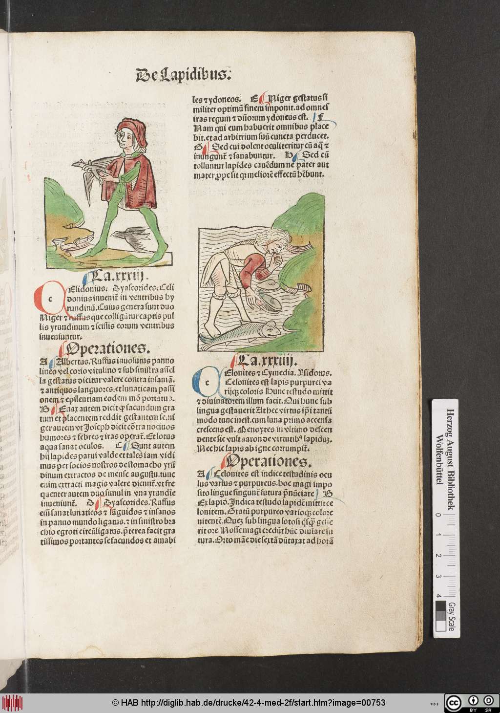 http://diglib.hab.de/drucke/42-4-med-2f/00753.jpg