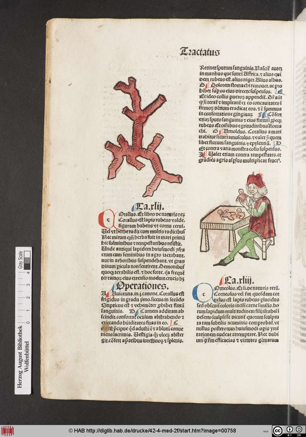 http://diglib.hab.de/drucke/42-4-med-2f/00758.jpg