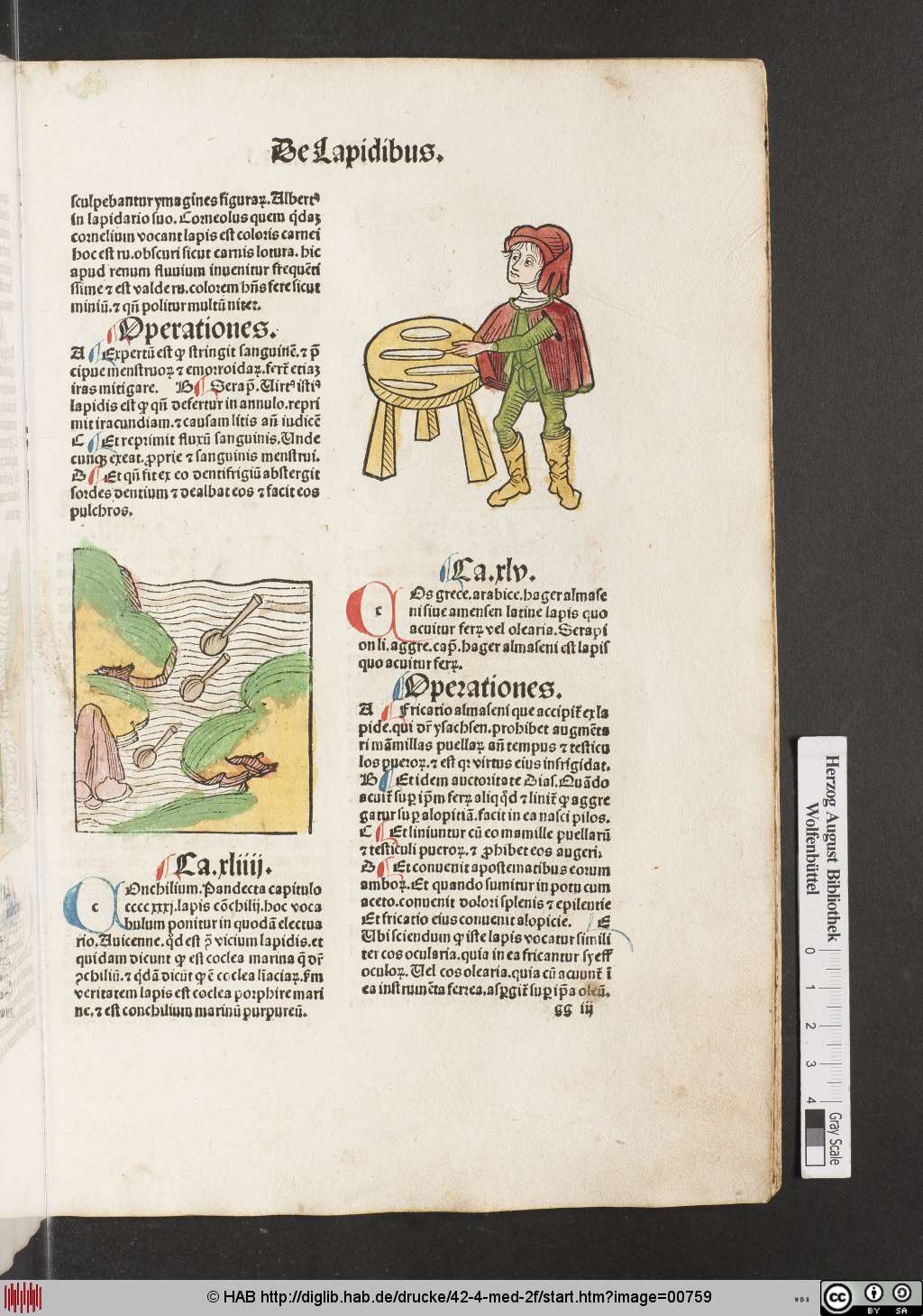 http://diglib.hab.de/drucke/42-4-med-2f/00759.jpg