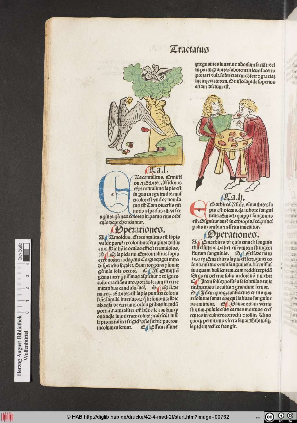 http://diglib.hab.de/drucke/42-4-med-2f/00762.jpg