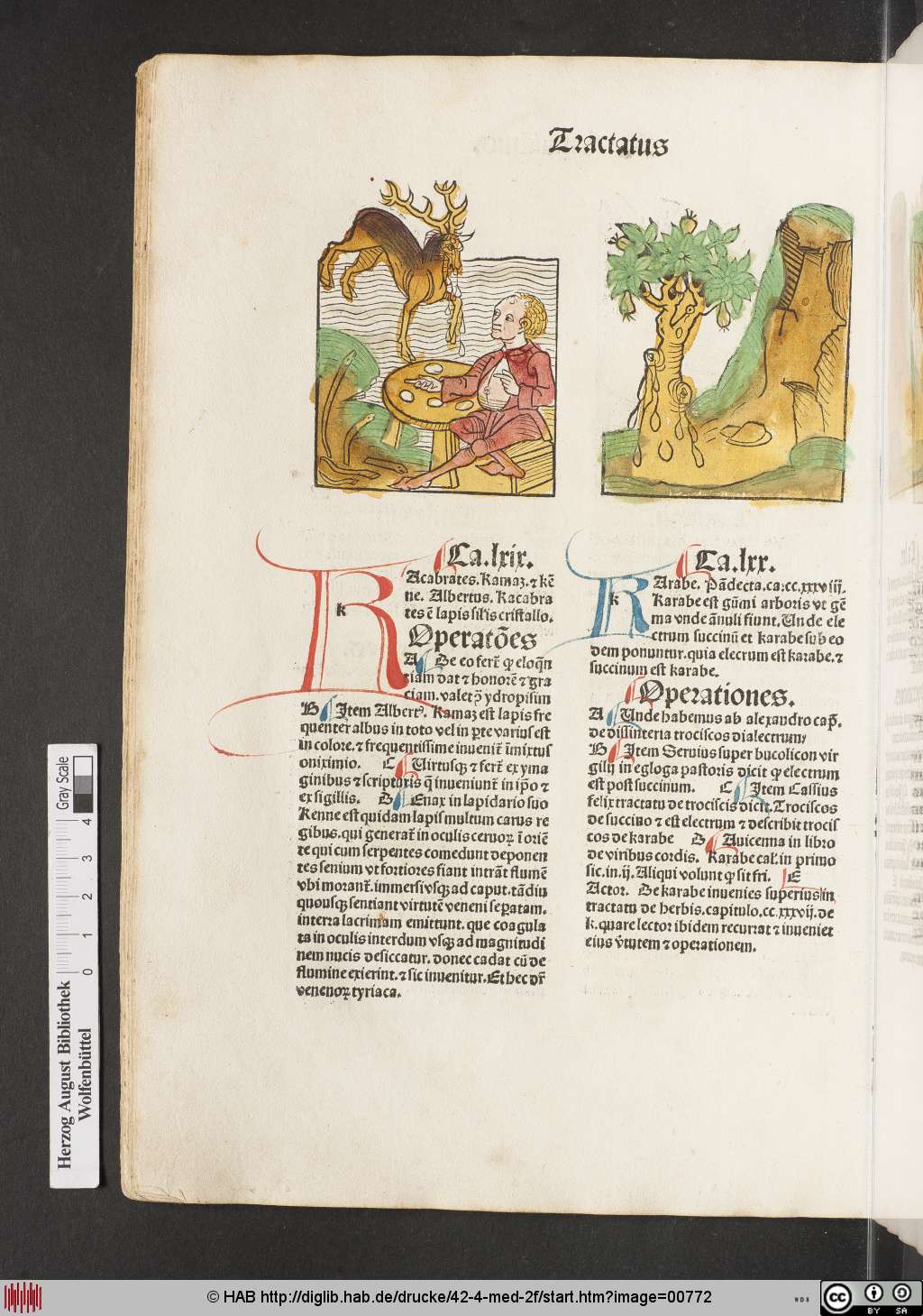 http://diglib.hab.de/drucke/42-4-med-2f/00772.jpg