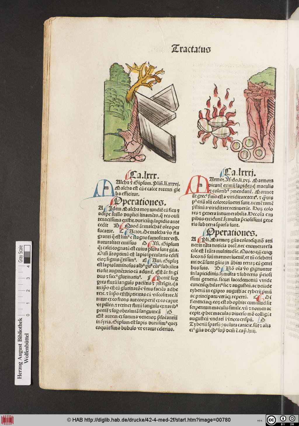 http://diglib.hab.de/drucke/42-4-med-2f/00780.jpg