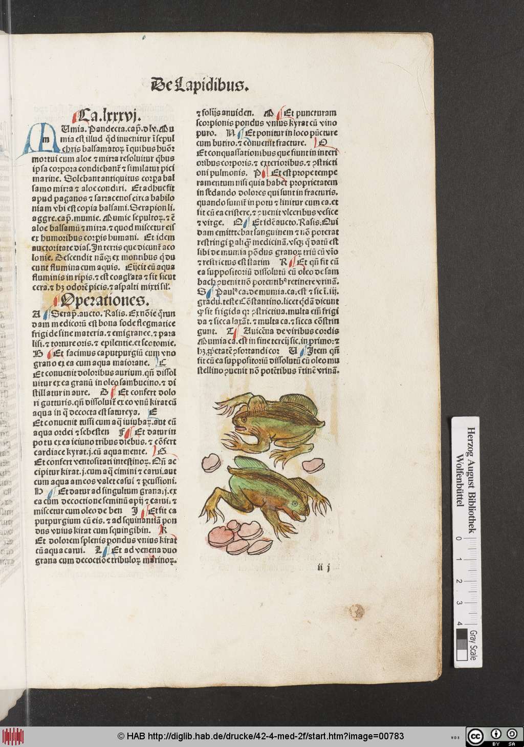 http://diglib.hab.de/drucke/42-4-med-2f/00783.jpg