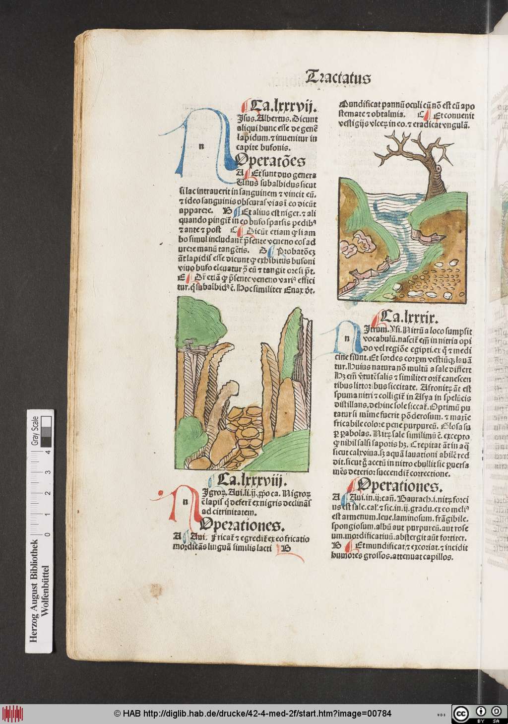 http://diglib.hab.de/drucke/42-4-med-2f/00784.jpg