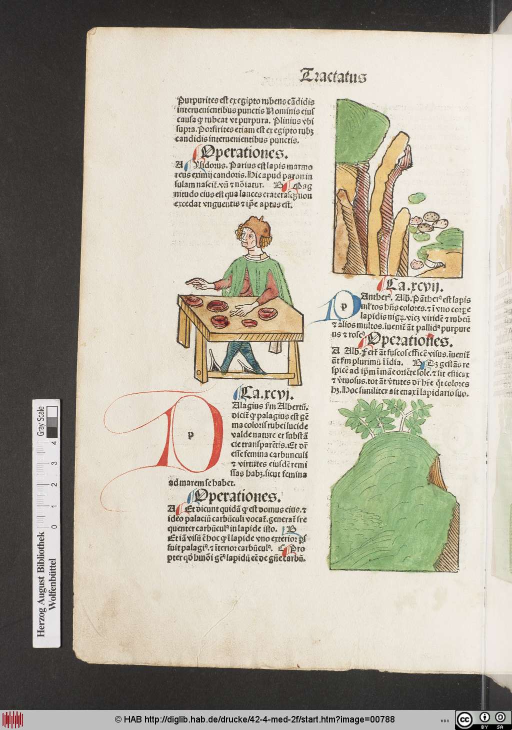 http://diglib.hab.de/drucke/42-4-med-2f/00788.jpg