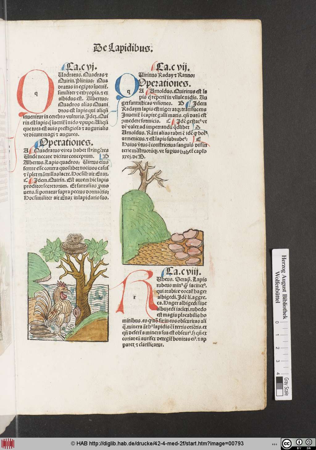 http://diglib.hab.de/drucke/42-4-med-2f/00793.jpg