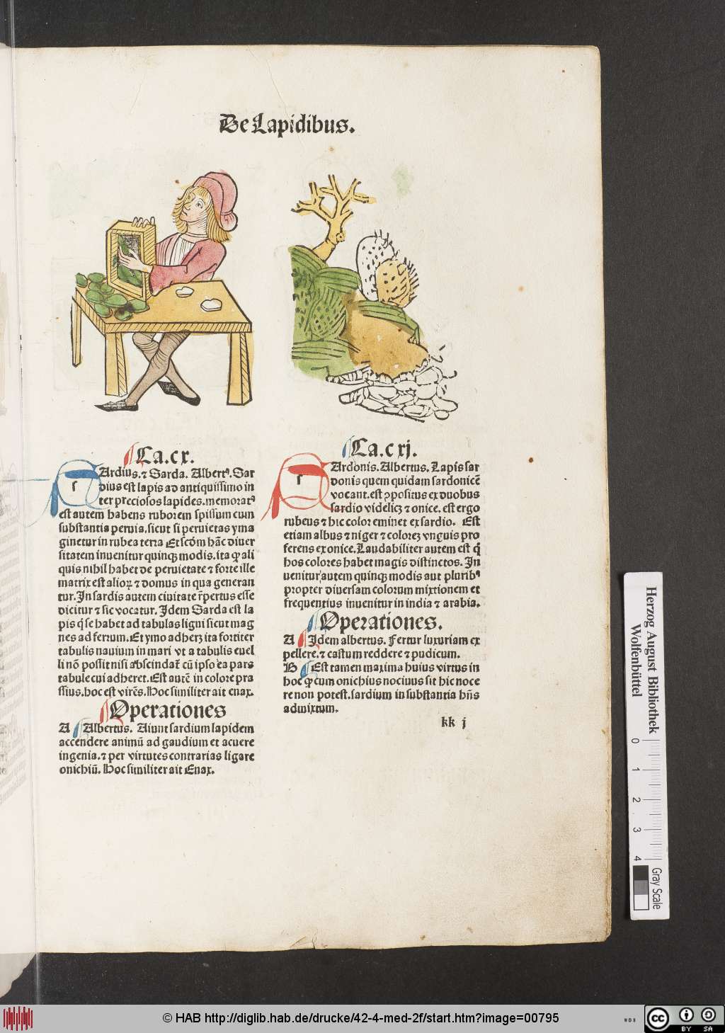 http://diglib.hab.de/drucke/42-4-med-2f/00795.jpg