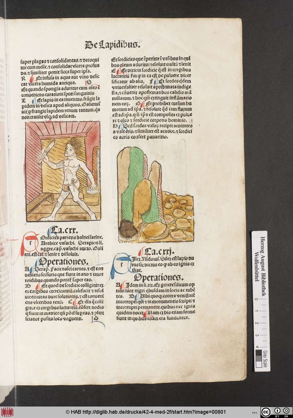 http://diglib.hab.de/drucke/42-4-med-2f/00801.jpg