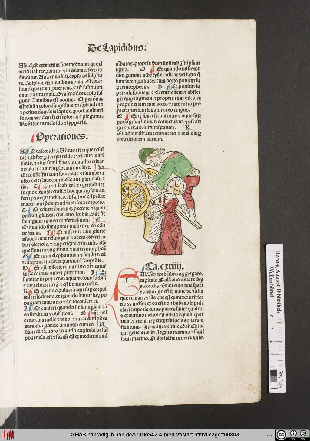 http://diglib.hab.de/drucke/42-4-med-2f/00803.jpg