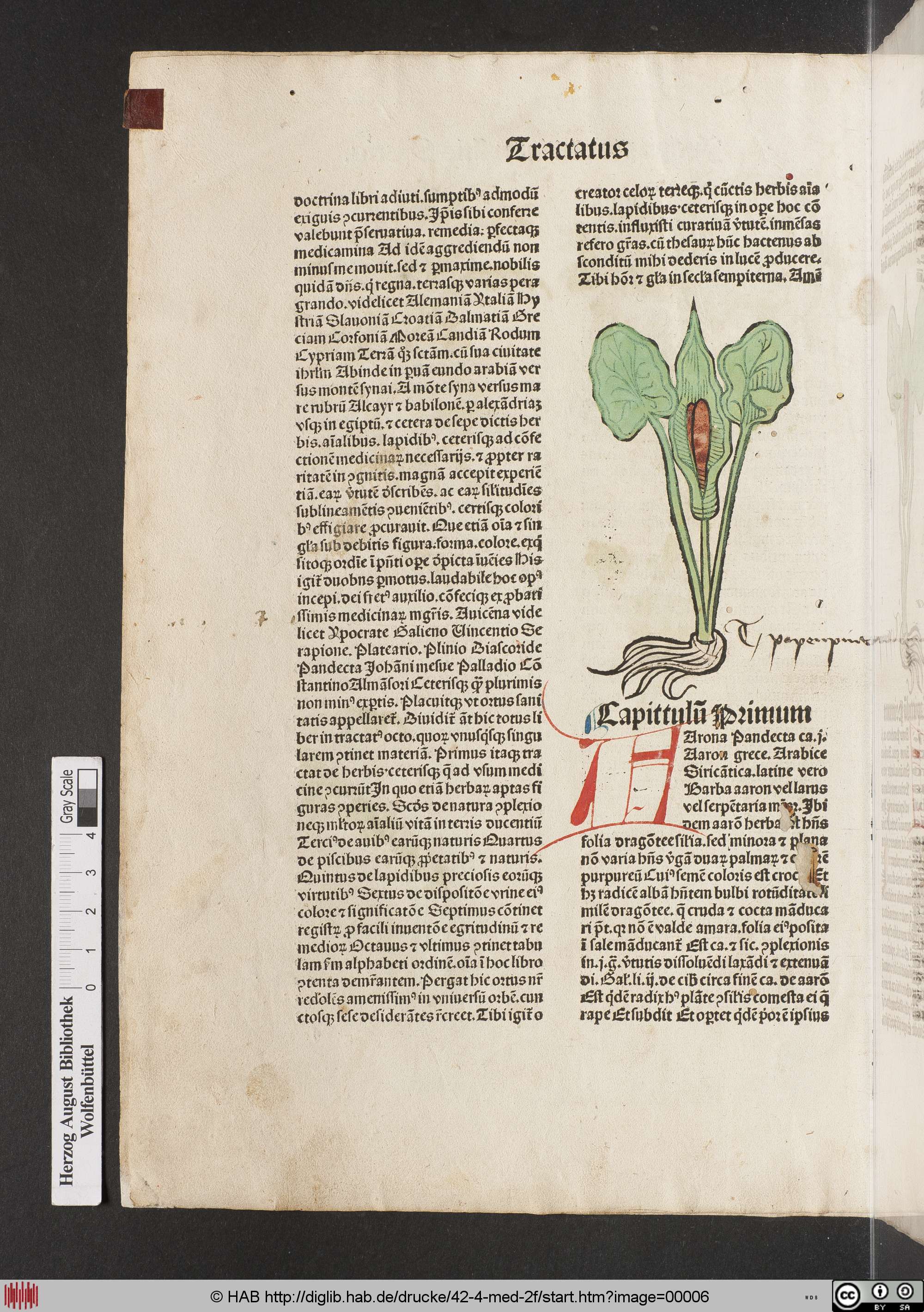 http://diglib.hab.de/drucke/42-4-med-2f/max/00006.jpg
