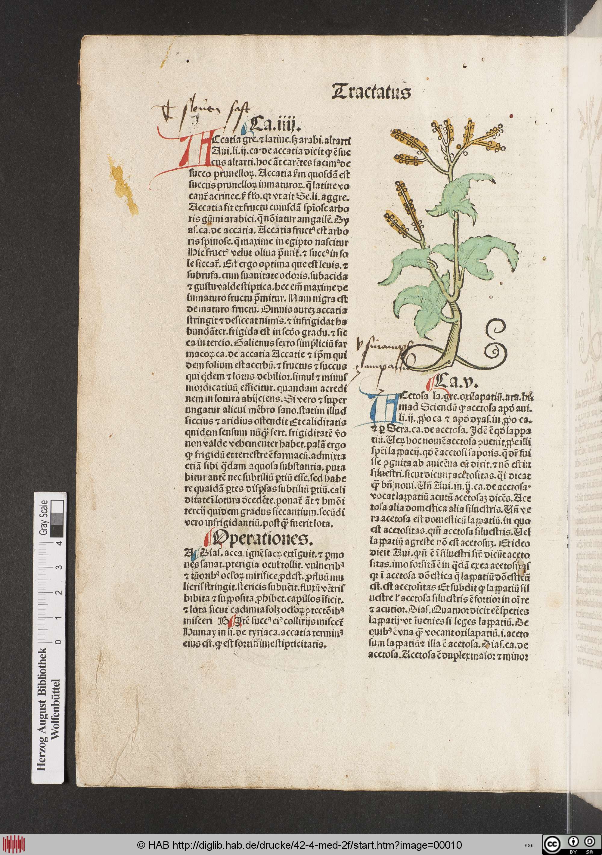http://diglib.hab.de/drucke/42-4-med-2f/max/00010.jpg