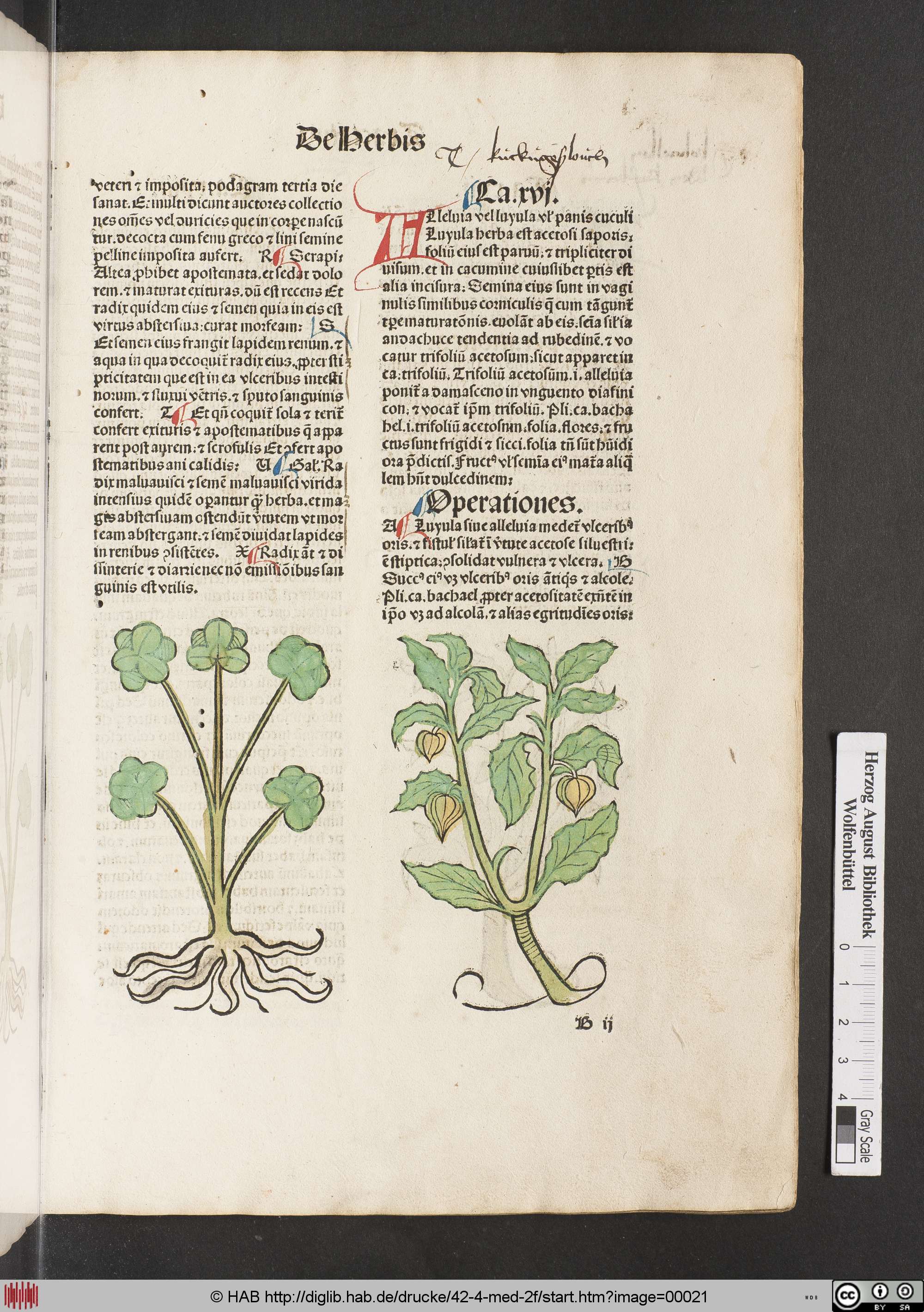 http://diglib.hab.de/drucke/42-4-med-2f/max/00021.jpg